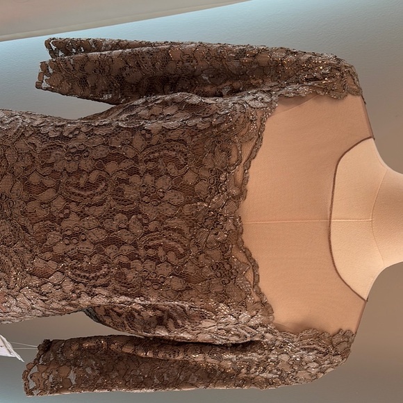 Elegant Lace Evening Gown by Rickie Freeman Teri John Size 16 Color Taupe - Picture 3 of 9